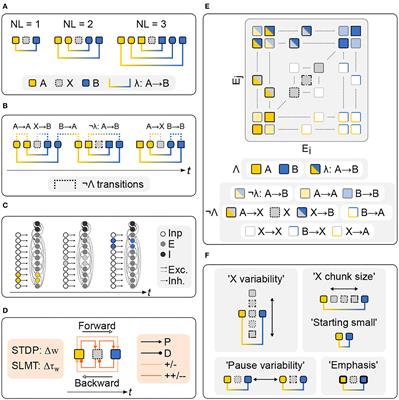 Spike-based statistical learning explains human performance in non-adjacent dependency learning tasks